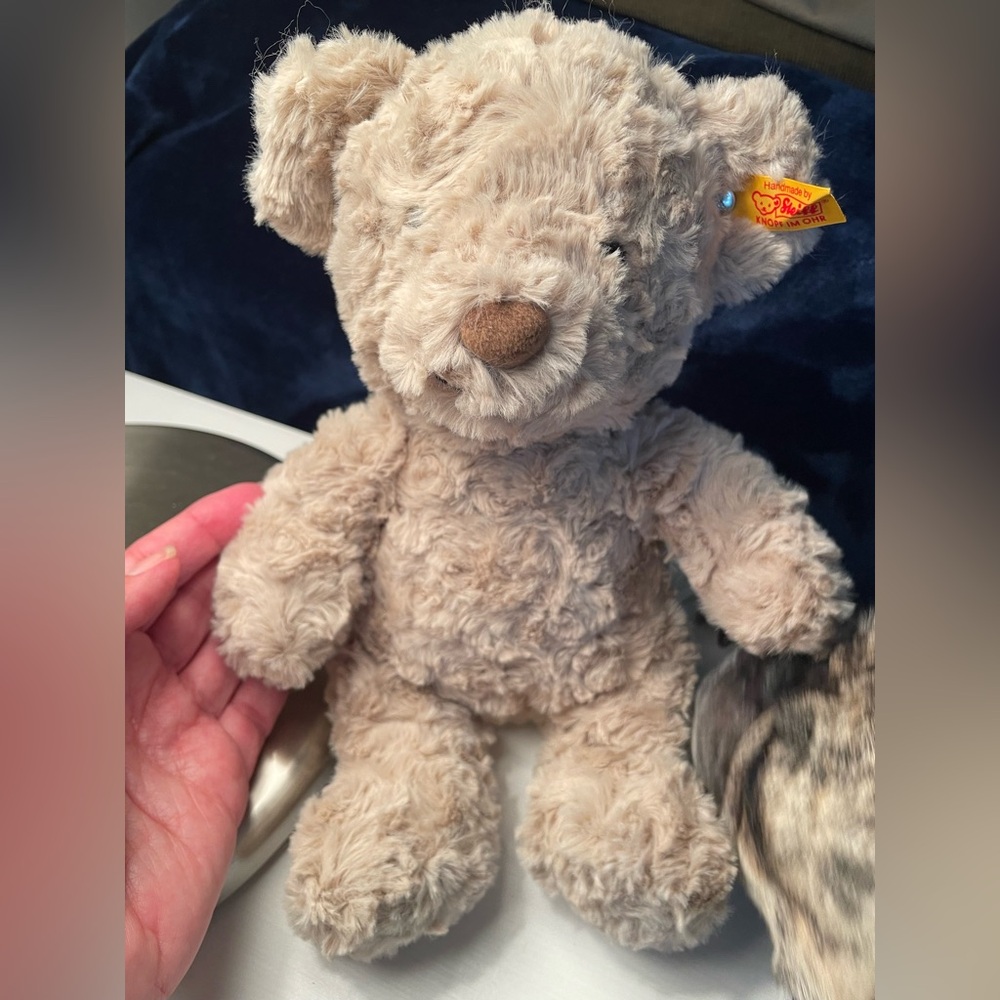 Fluffy Beige Steiff Teddy Bear New with Tags - Picture 2 of 5